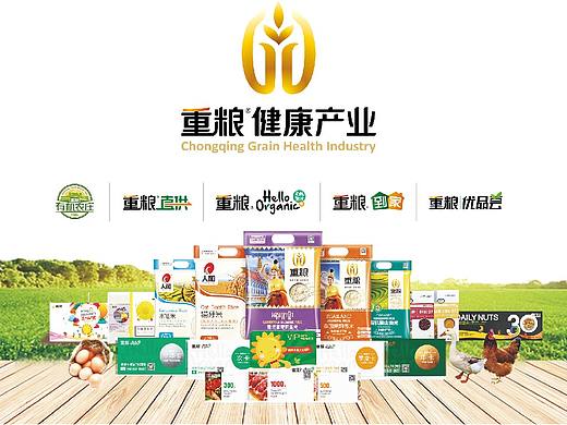 重粮健康产业品牌系统设计