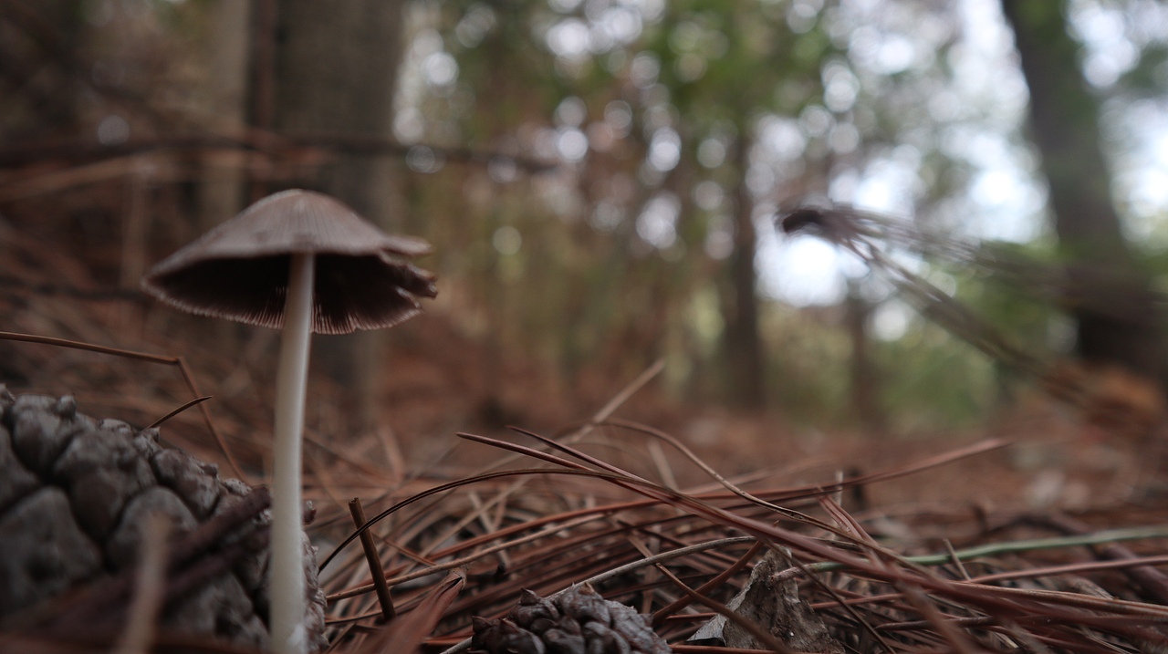 《眼前便是最好》（图ZMzA5MjA0NDA0） - 其他摄影 - 站酷设计师简浩原创素材 - 站酷ZCOOL