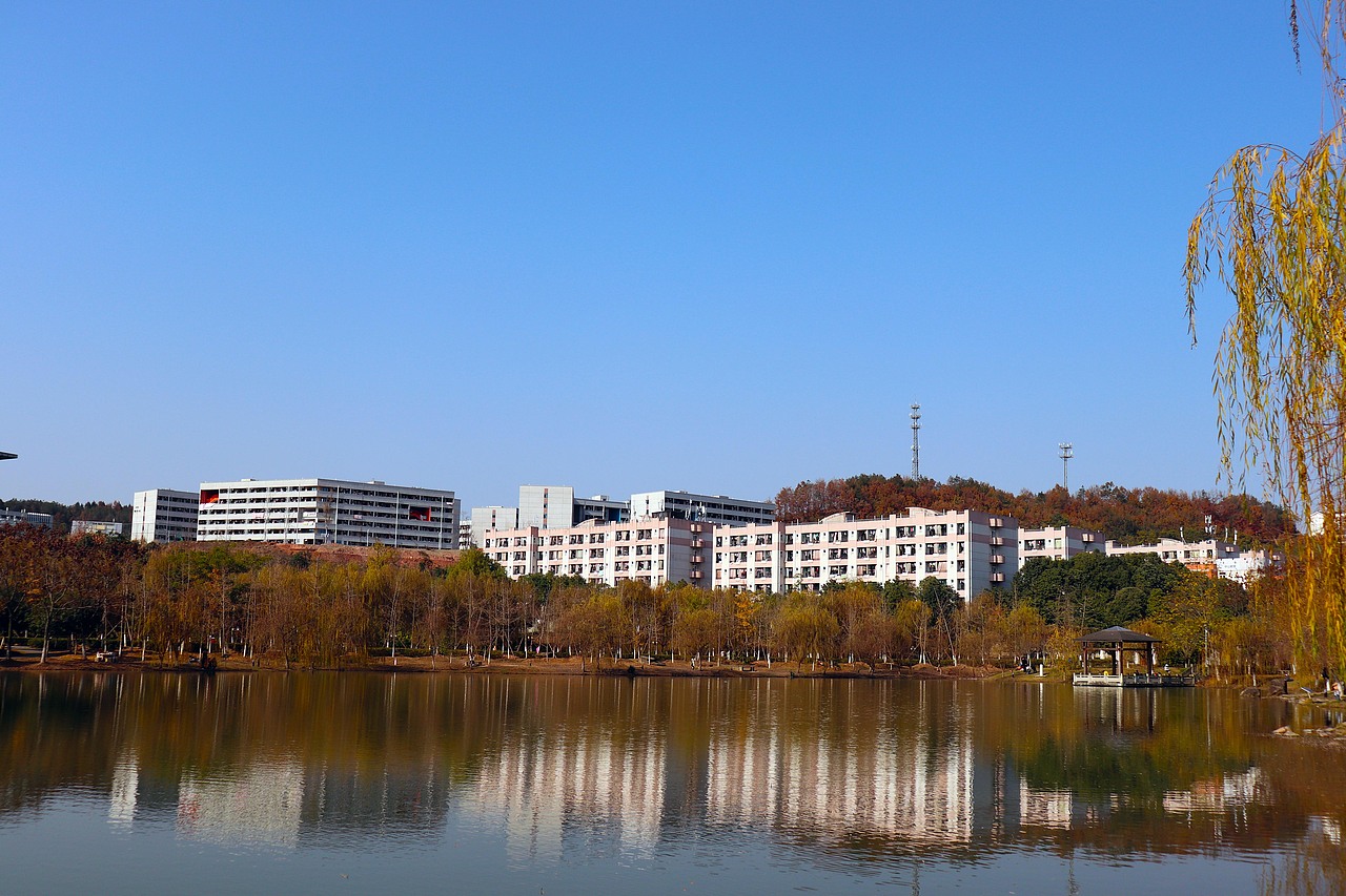 随手拍的风光（图ZMTgyMjAzNzQ0） - 产品摄影 - 站酷设计师弗如Ru原创素材 - 站酷ZCOOL