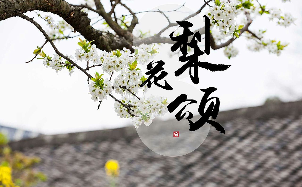 字体设计梨花颂