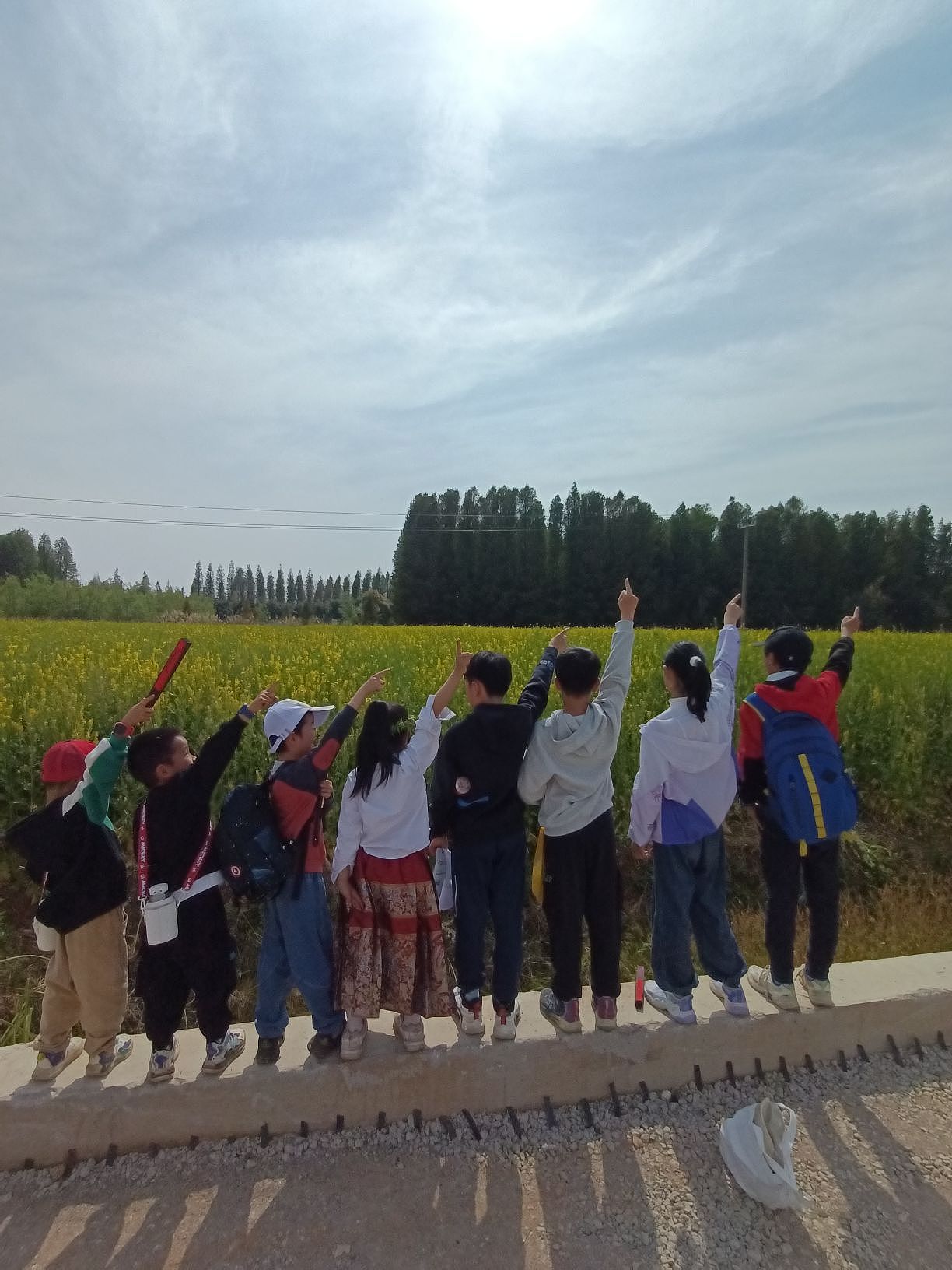 江尾村看油菜花海