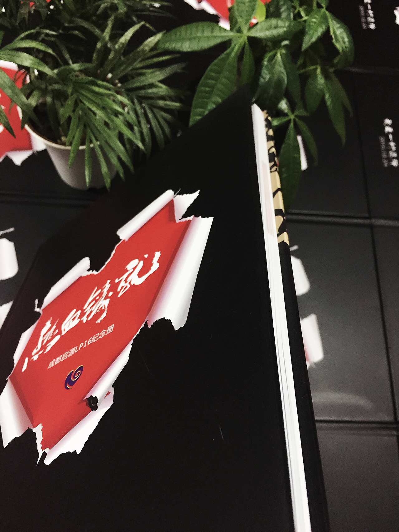 成都企业纪念相册设计制作公司|培训纪念册制作|公司宣传画册设计（图ZNzE2NzQyODQ=） - 书籍/画册 - 站酷设计师百铂文化品牌设计原创素材 - 站酷ZCOOL