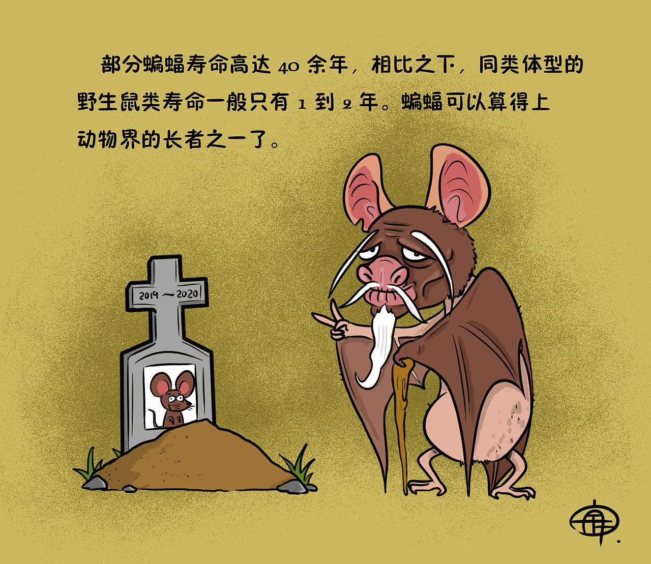 疫情冷知识【你真的了解蝙蝠吗?】