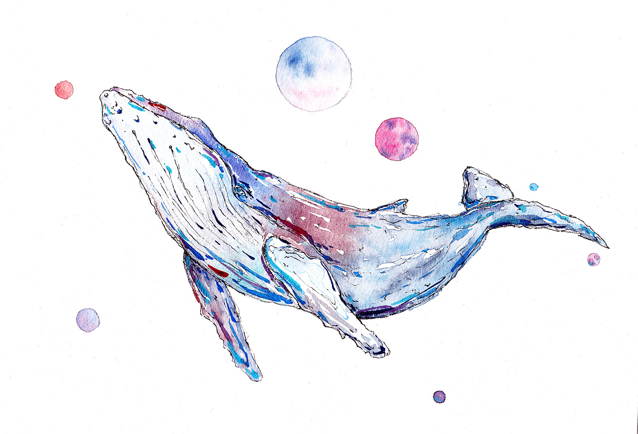 手绘水彩鲸鱼|插画|插画习作|董搞搞 - 原创作品 - 站酷 (ZCOOL)