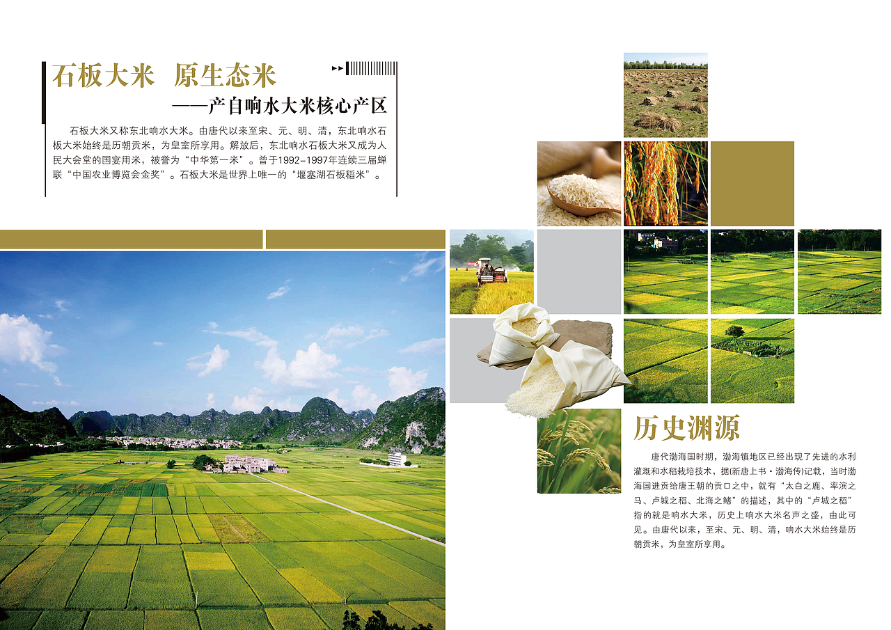 石板大米画册（图ZMTY5NzMzNjUy） - 书籍/画册 - 站酷设计师逍遥吖原创素材 - 站酷ZCOOL