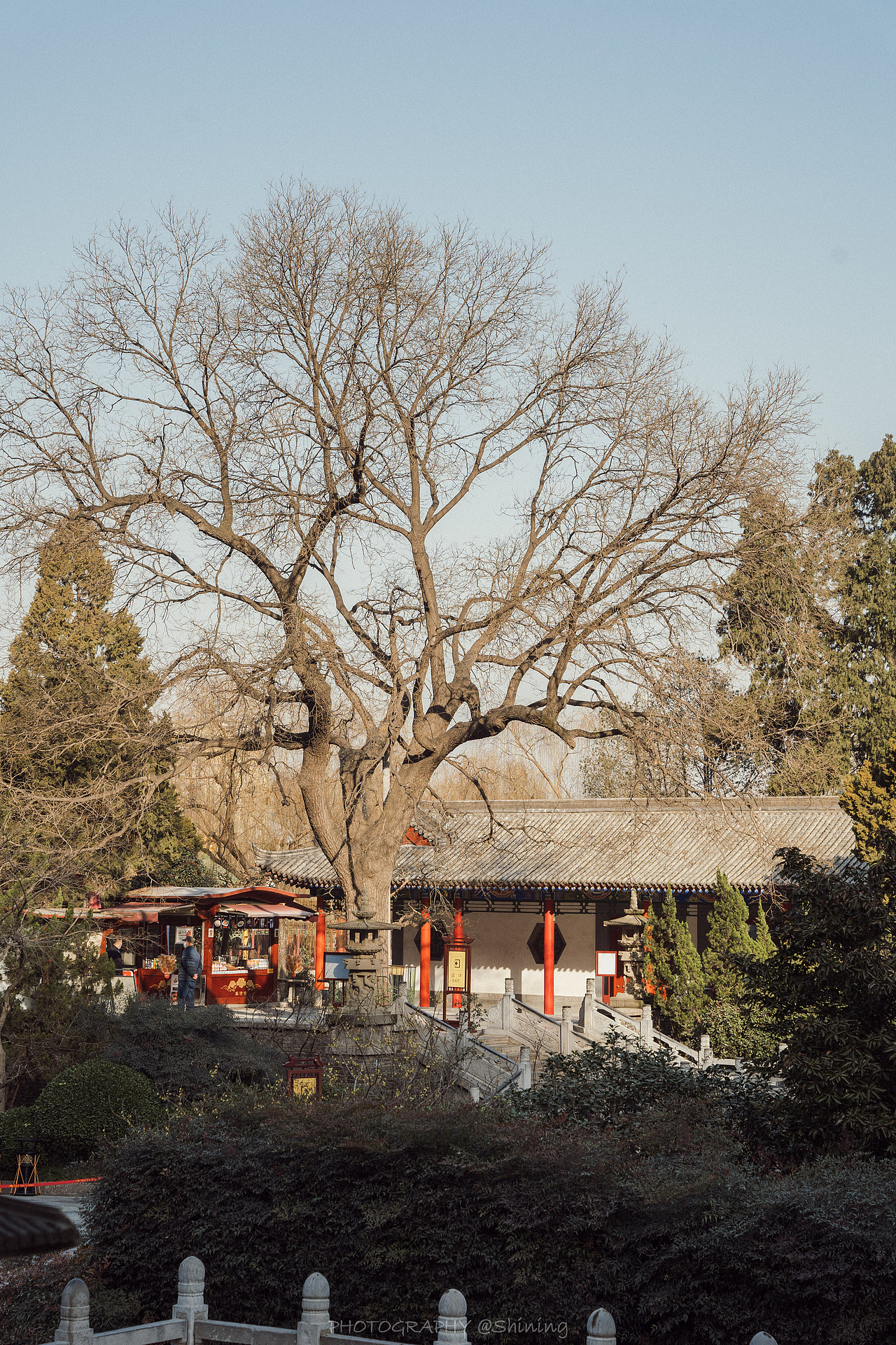 西安游记 华清宫