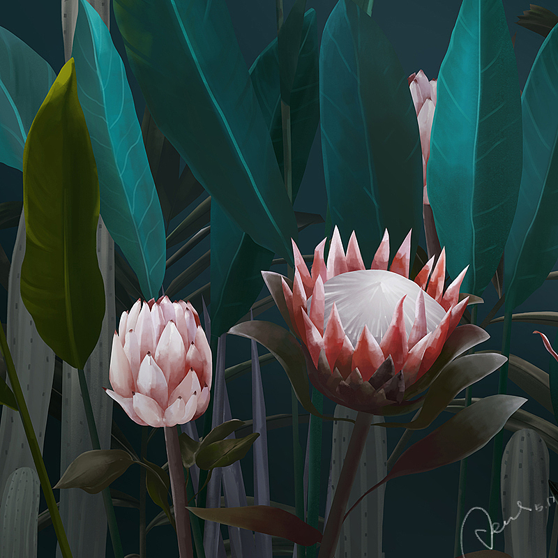 帝王花~（图ZMTE1MDI3NTEy） - 艺术插画 - 站酷设计师六里原创素材 - 站酷ZCOOL