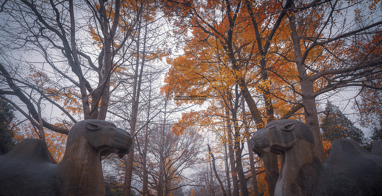 南京之行（图ZMTg4NzI5MzYw） - 风光摄影 - 站酷设计师摄影师大Q原创素材 - 站酷ZCOOL