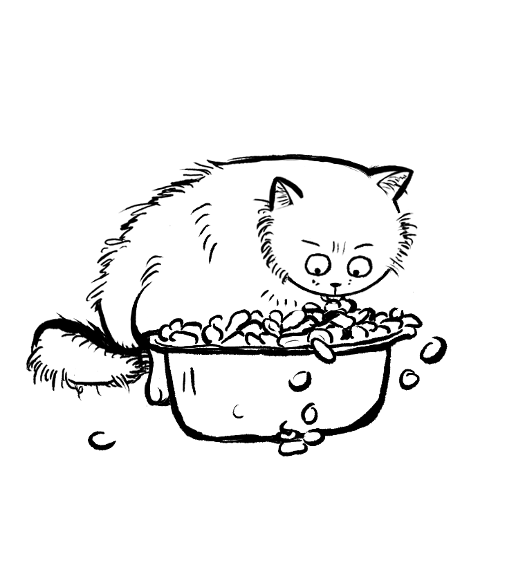 猫咪吃东西的简笔画图片