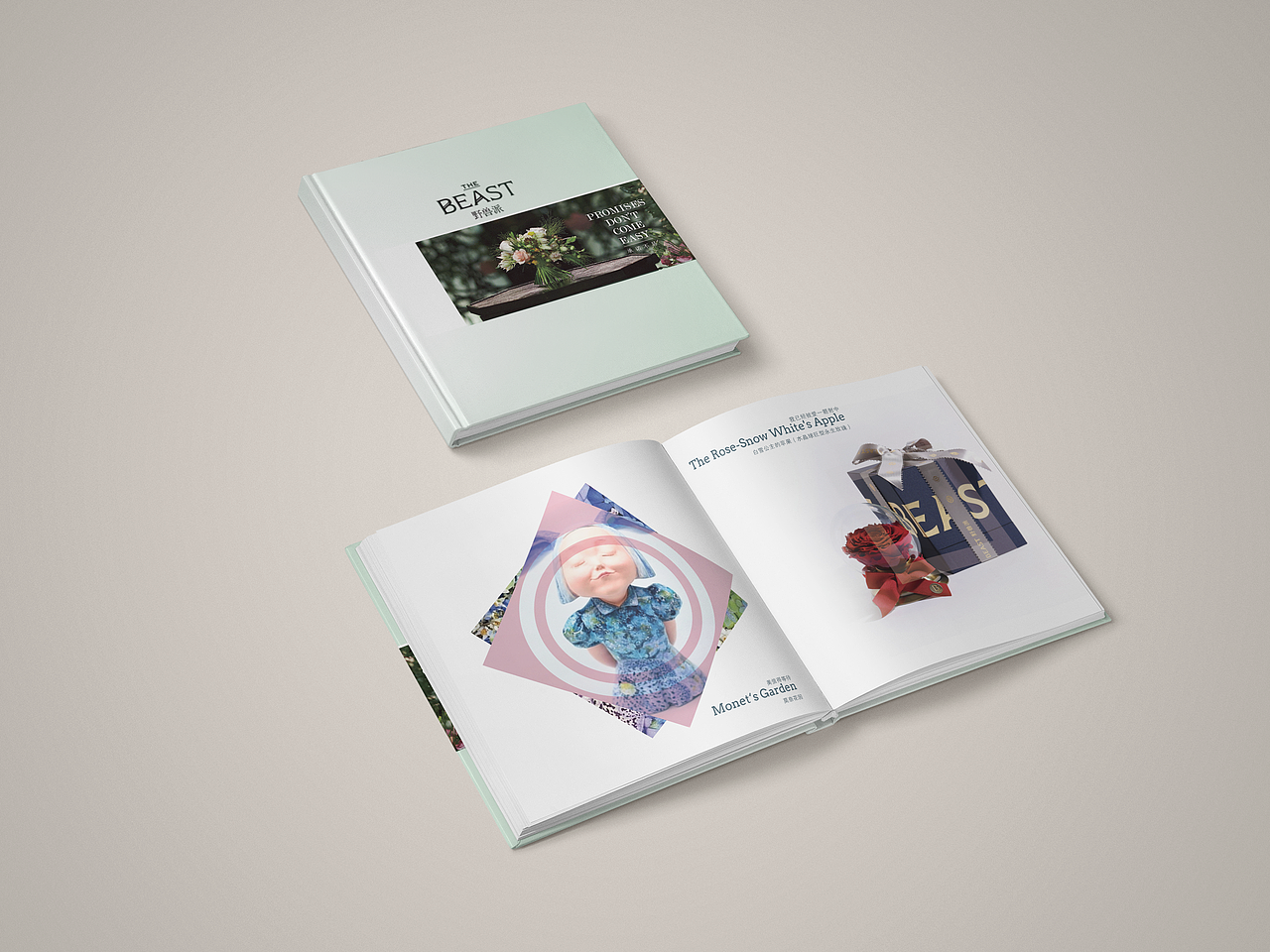 野兽派#画册（图ZNzczMjIxNjQ=） - 书籍/画册 - 站酷设计师莹子姑娘原创素材 - 站酷ZCOOL