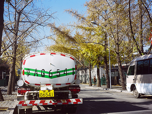 2012年11月 银杏/三里屯/双反