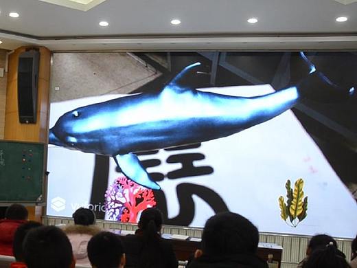 增强现实课堂——海洋生物