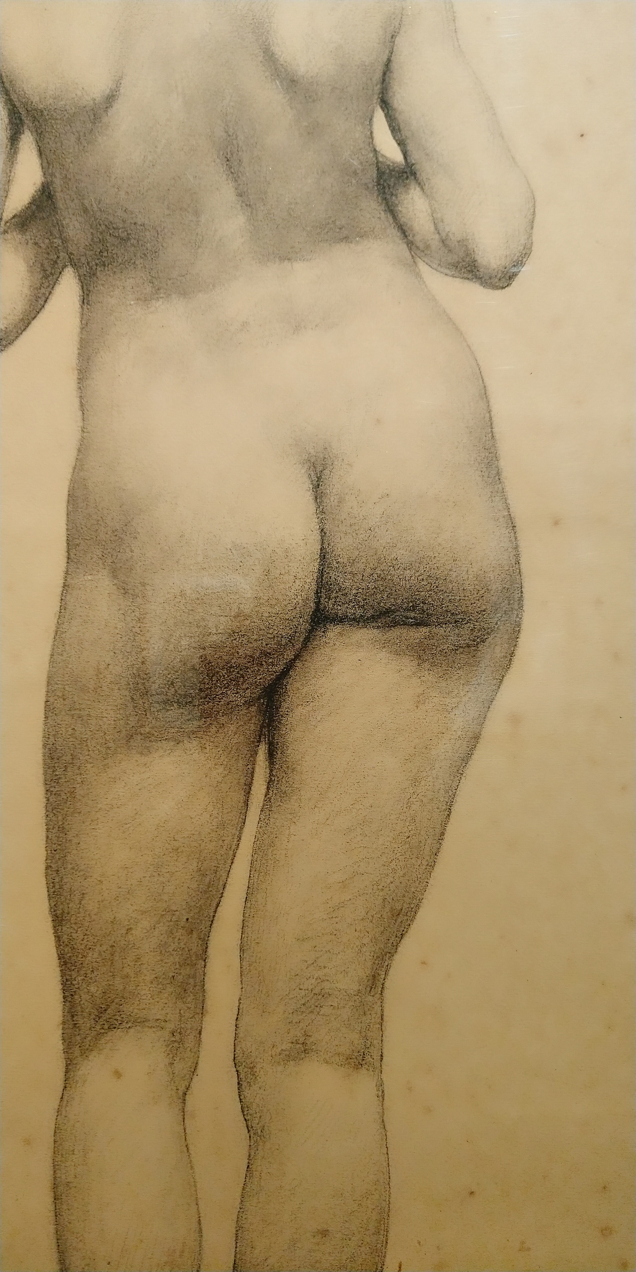 第一百O八集 焱琳浩文艺术 京城看徐悲鸿作品展