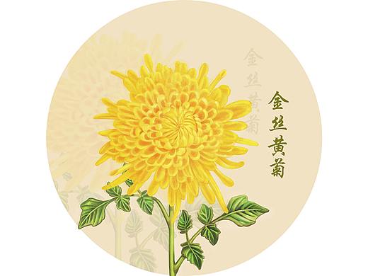 养生花草茶