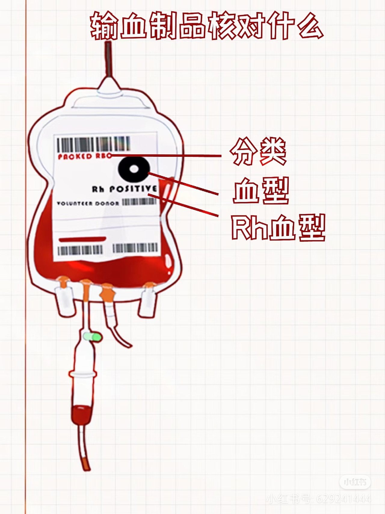 医学生实习系列(一)血液科