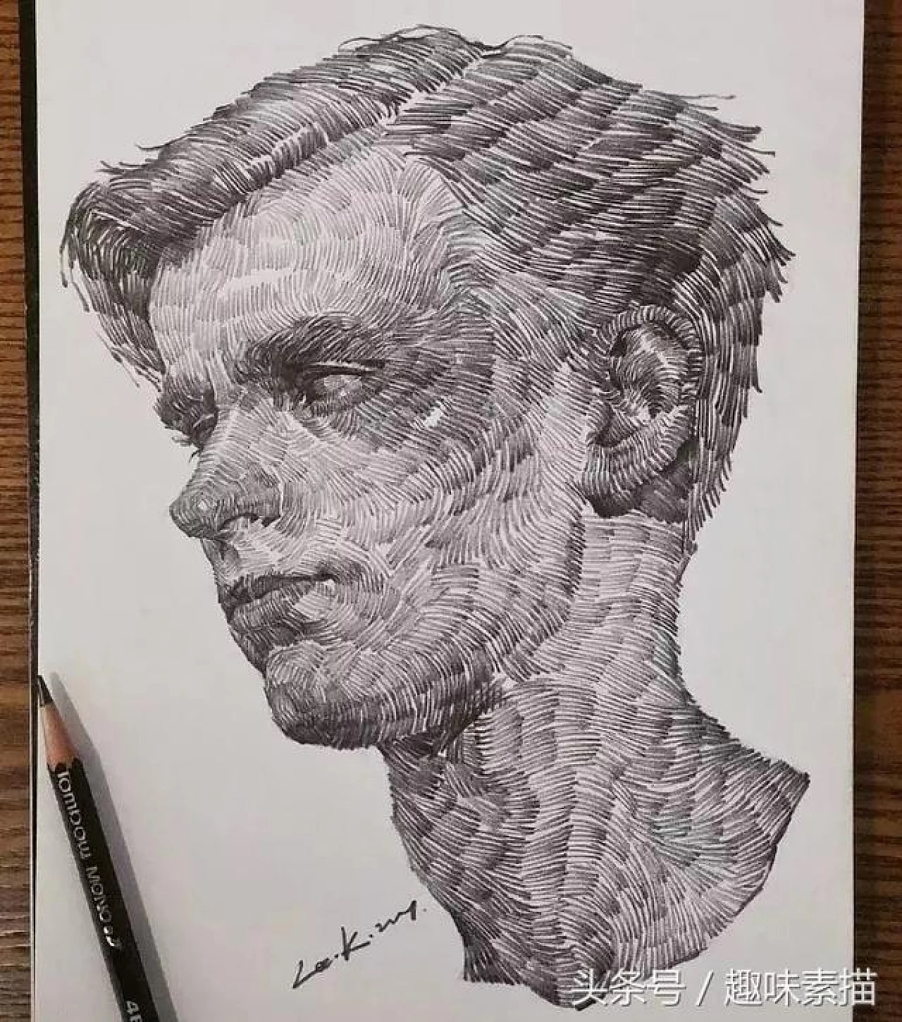 你们见过这样排线吗?