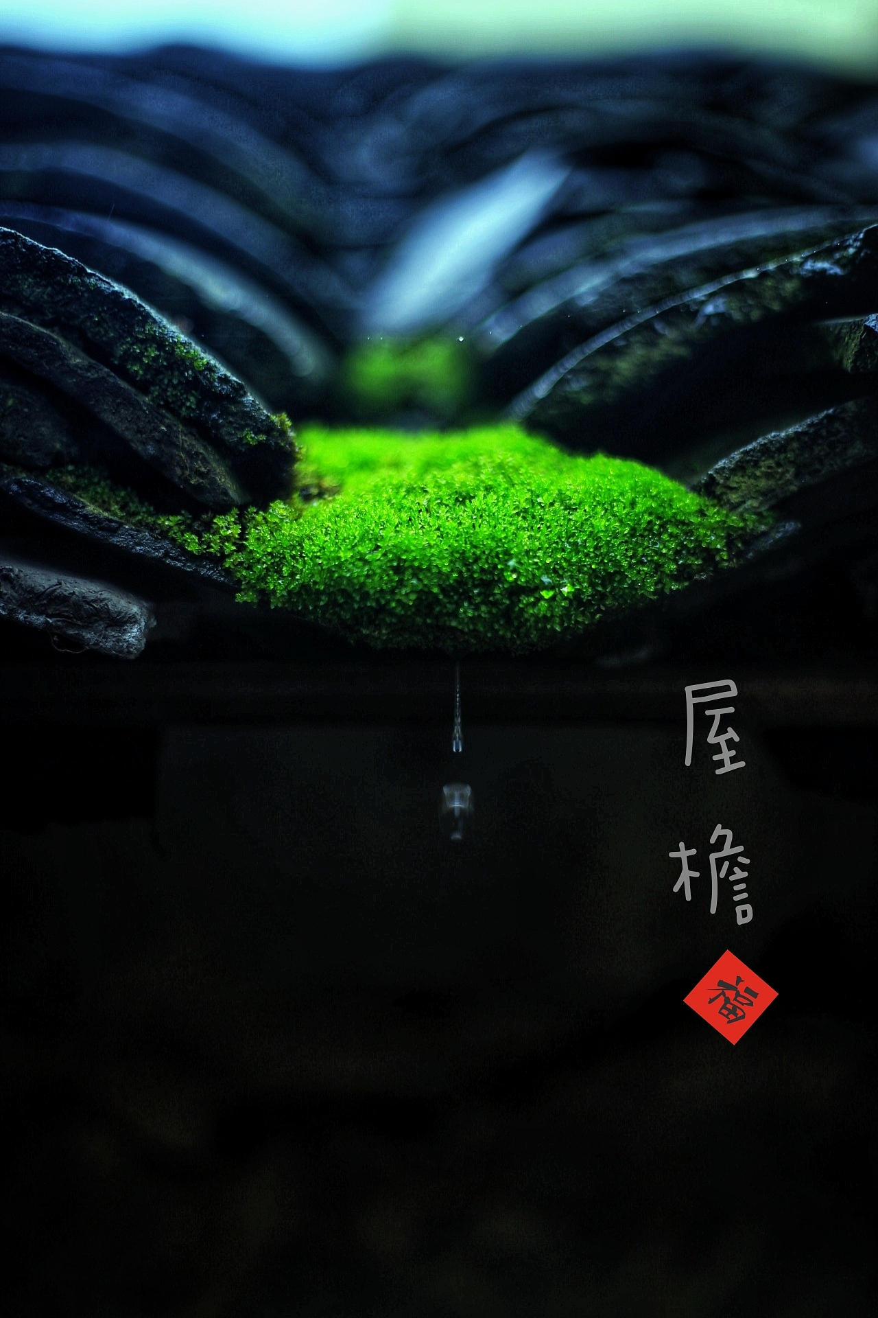 时光（图ZMTk5MDY4ODcy） - 产品摄影 - 站酷设计师Z91929439原创素材 - 站酷ZCOOL