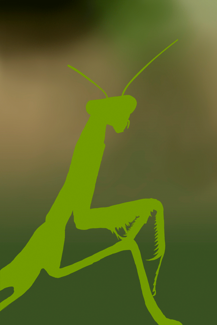 7月 | 写实昆虫练习（图ZMTY5NDMzODk2） - 创作习作 - 站酷设计师君小阳原创素材 - 站酷ZCOOL