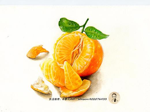 【橘子】彩铅基础过程图