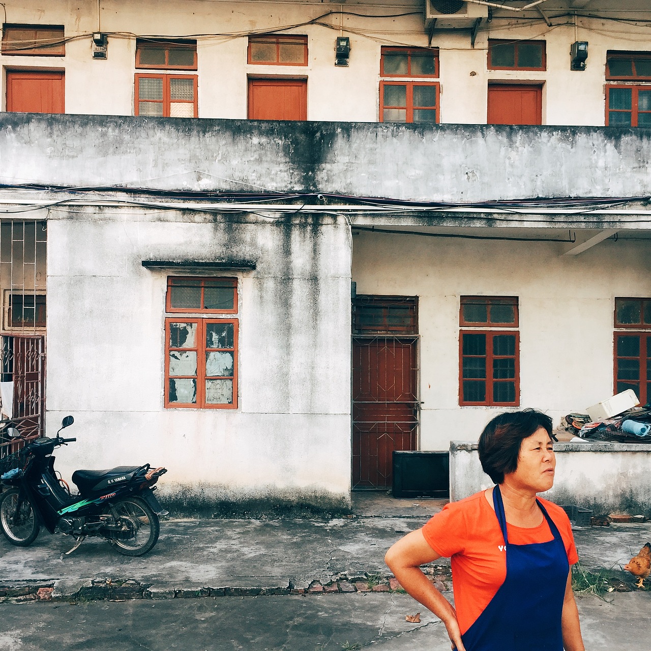 手机日常作品（图ZOTU0NDQyMjg=） - 人文/纪实摄影 - 站酷设计师李佩华原创素材 - 站酷ZCOOL