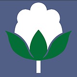 用戶頭像