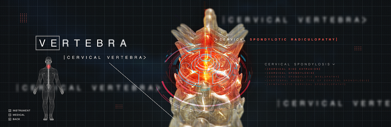 骨骼（图ZMTMxNTQ0NDY4） - 人物/生物 - 站酷设计师Anding原创素材 - 站酷ZCOOL