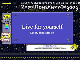 有时候需要慢下来