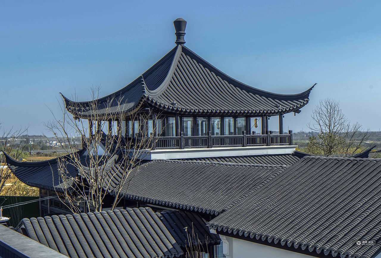 盛象原创」合肥巢湖绿城桃李春风