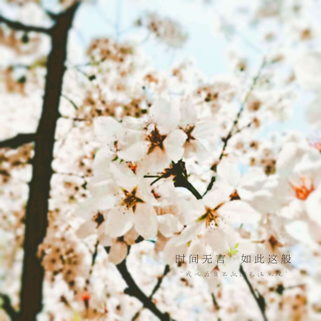 摄影杂谈（图ZMTAyODgxNDAw） - 其他摄影 - 站酷设计师皆非Cheney原创素材 - 站酷ZCOOL