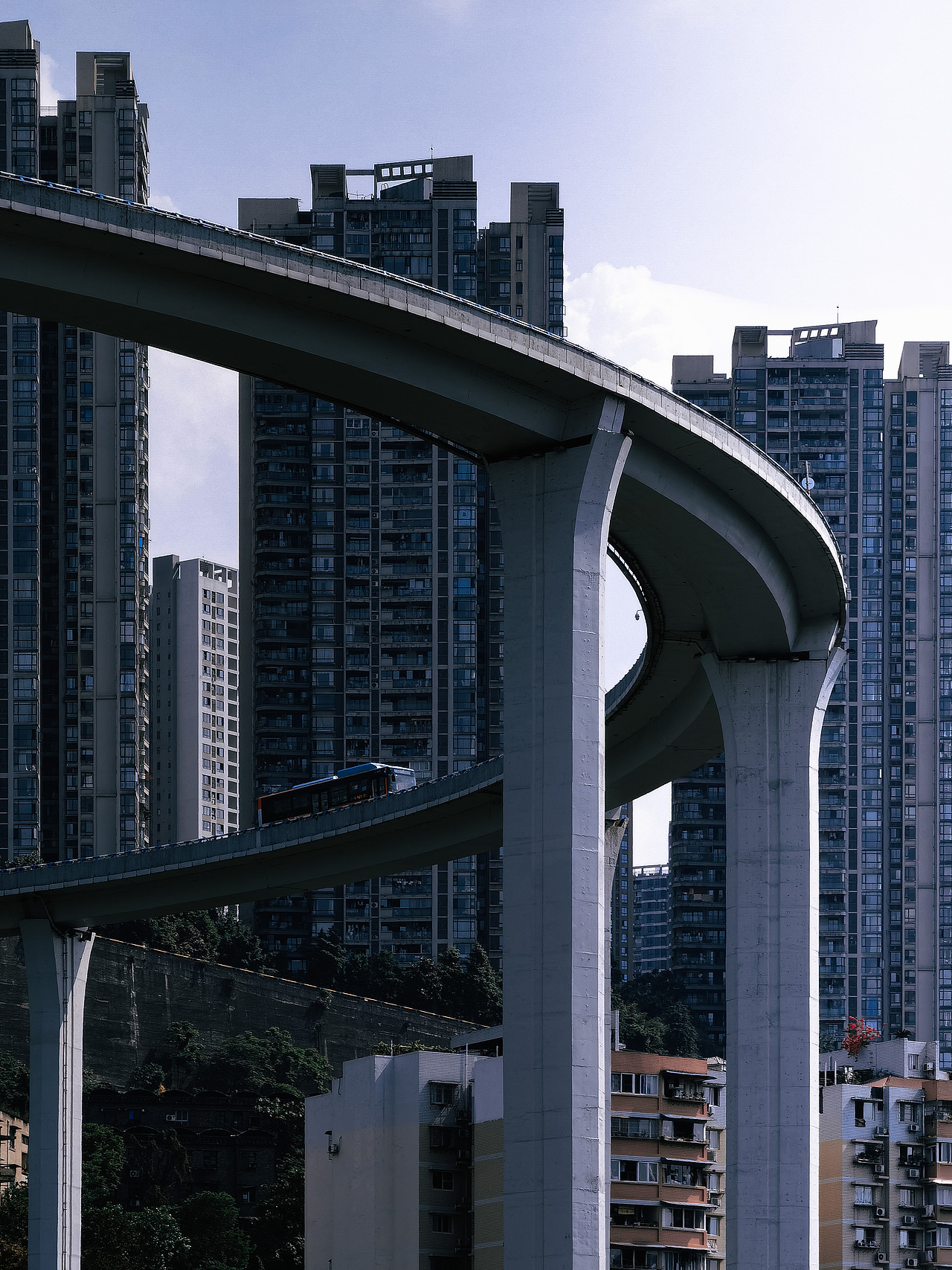 2021上半年手机摄影精选