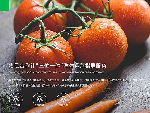网站（个人主页-ZMzA4ODQwNzI=） - 企业官网 - 站酷设计师苞米地精神病院长原创素材 - 站酷ZCOOL