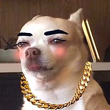 赛狗Sago的头像