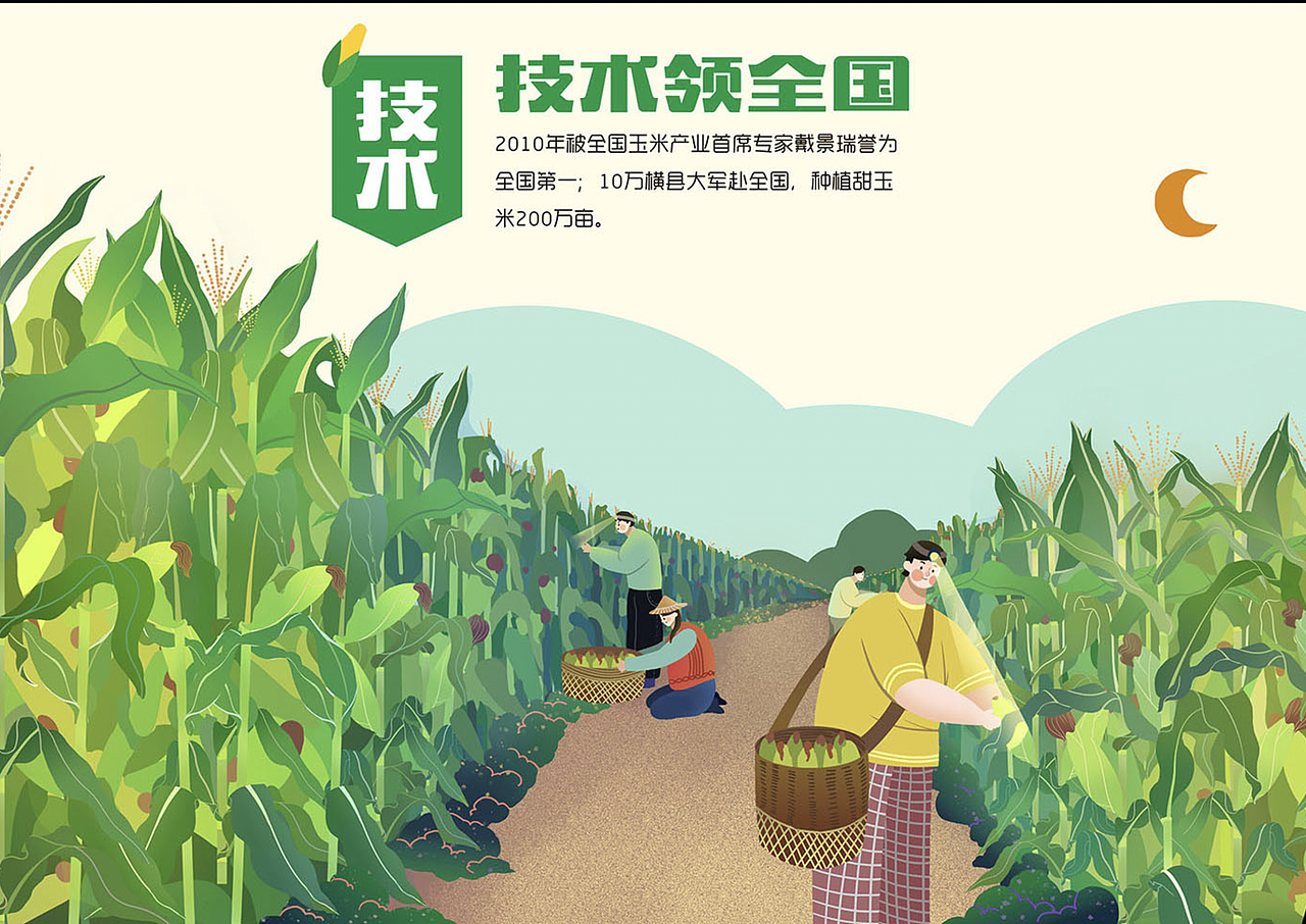 区域品牌插画：《横县甜玉米》IP及品牌长图（图ZMjM4NzkyNjAw） - 商业插画 - 站酷设计师黑象原创素材 - 站酷ZCOOL