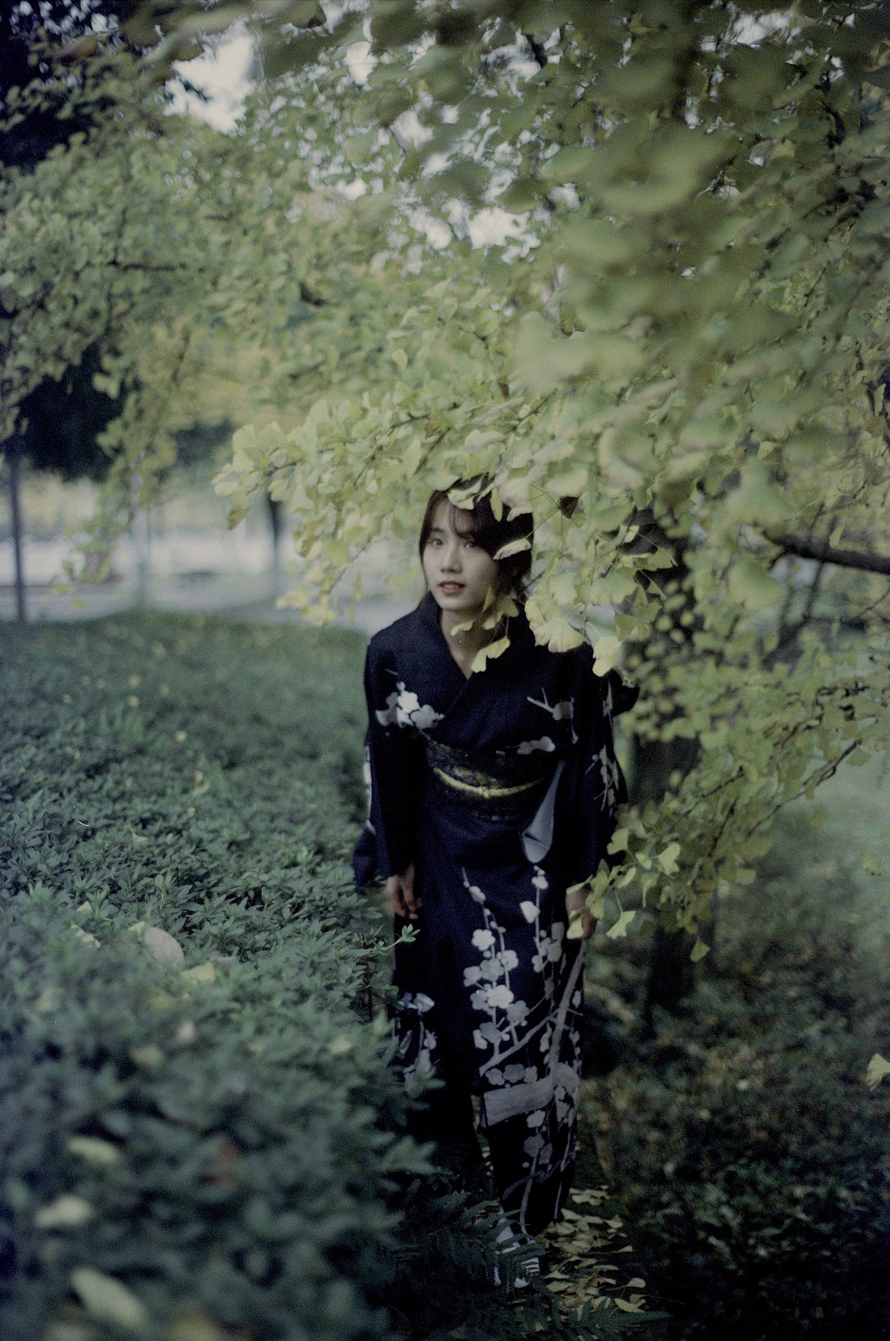 灵幽听微，谁观玉颜