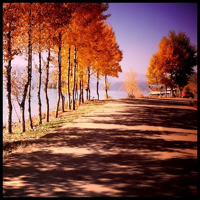 一些照片,没商业,拍着玩儿