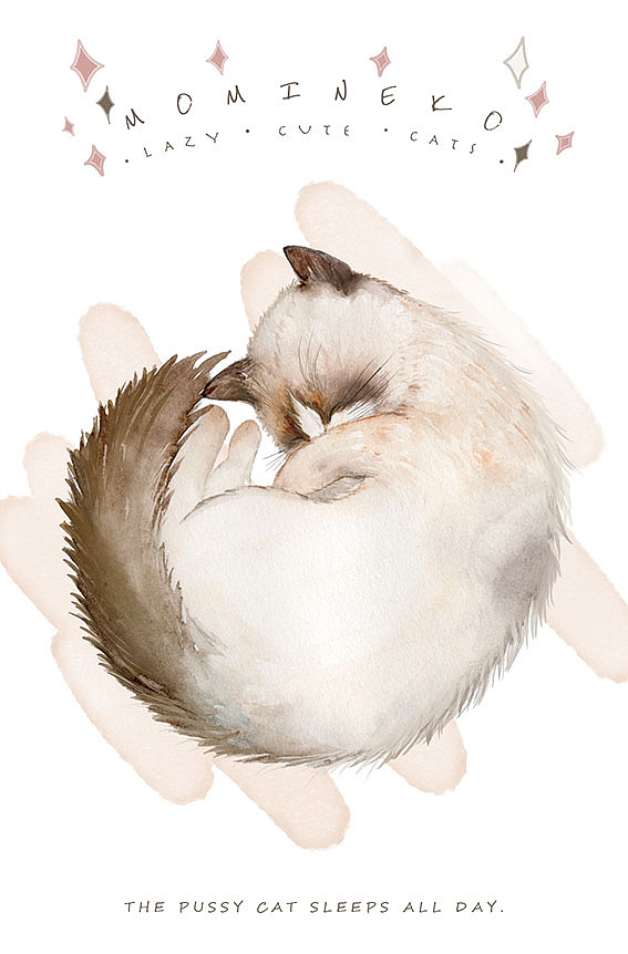 超萌可爱卷卷猫咪 明信片多图水彩