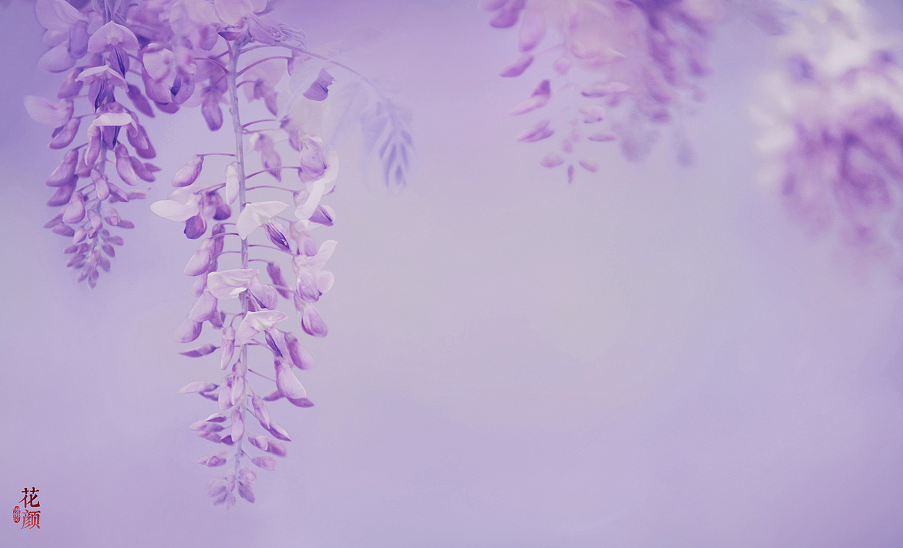 花颜（图ZMTEzNTY3MDIw） - 人像摄影 - 站酷设计师摄影师蝈蝈小姐原创素材 - 站酷ZCOOL