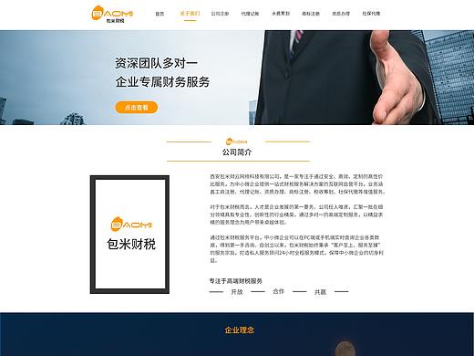 财税网站设计