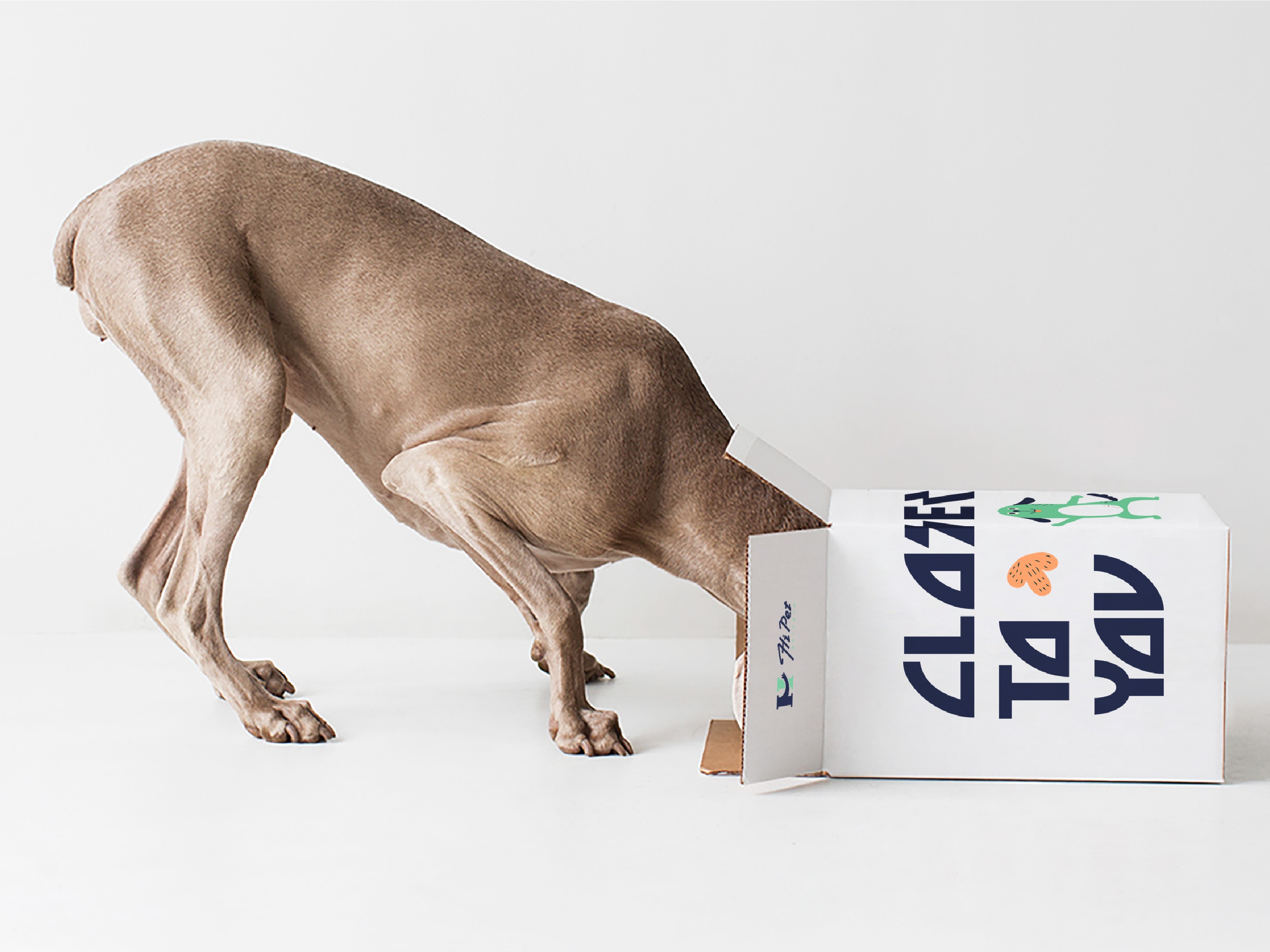 [HI PET]宠物生活集合店品牌设计_禾子金金金-站酷ZCOOL
