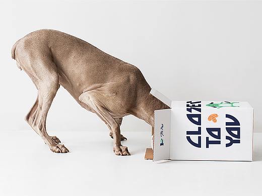 [HI PET]宠物生活集合店品牌设计