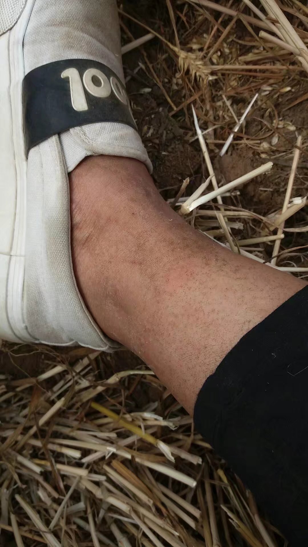 收获（图ZOTA2MzQyNTI=） - 风光摄影 - 站酷设计师荀味原创素材 - 站酷ZCOOL