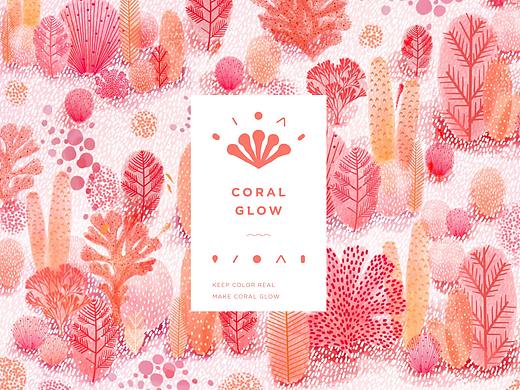 [coral glow]珊瑚友好型防曬霜平面設(shè)計（個人主頁-ZNTc5OTk1ODA=） - 品牌 - 站酷設(shè)計師禾氽HeTun原創(chuàng)素材 - 站酷ZCOOL