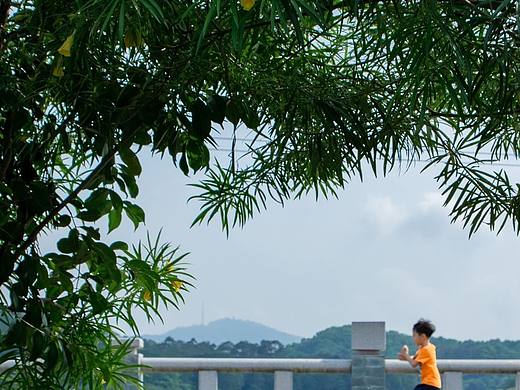 同一个路口,不同的人和不同的风景