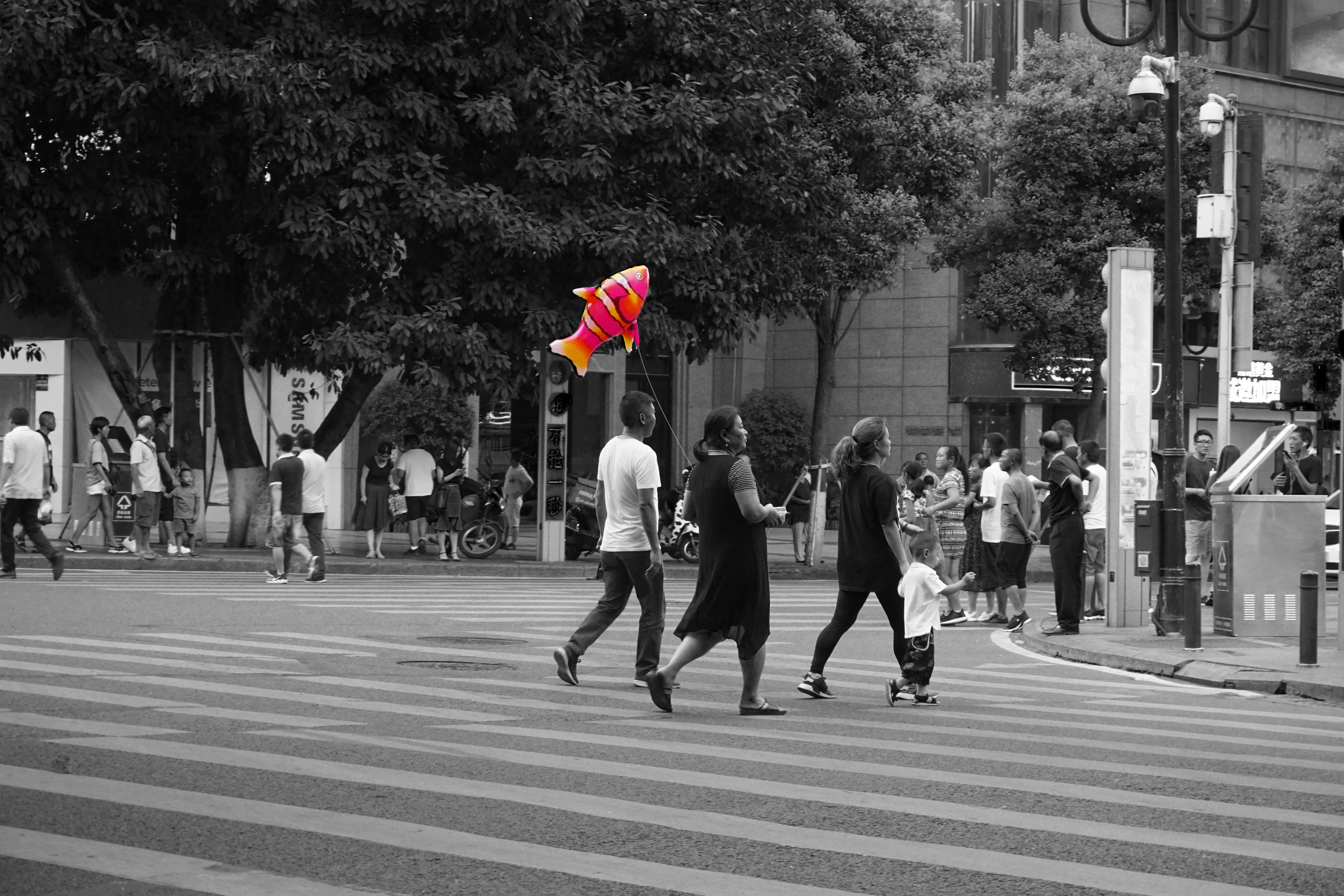 boompala的个人主页（封面预览） - 主页封面设置 - 站酷设计师boompala原创素材 - 站酷ZCOOL