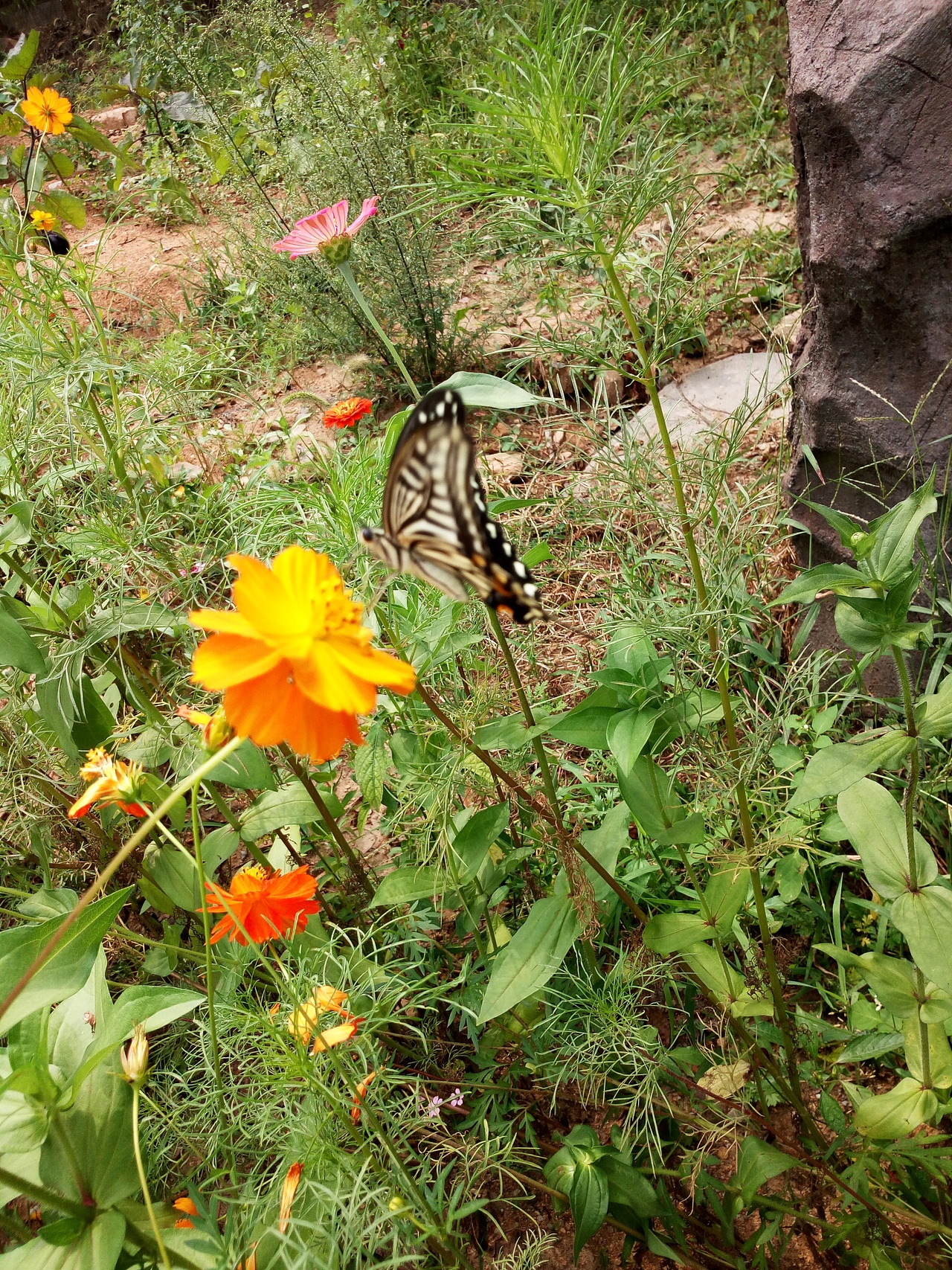 最美的风景在路上