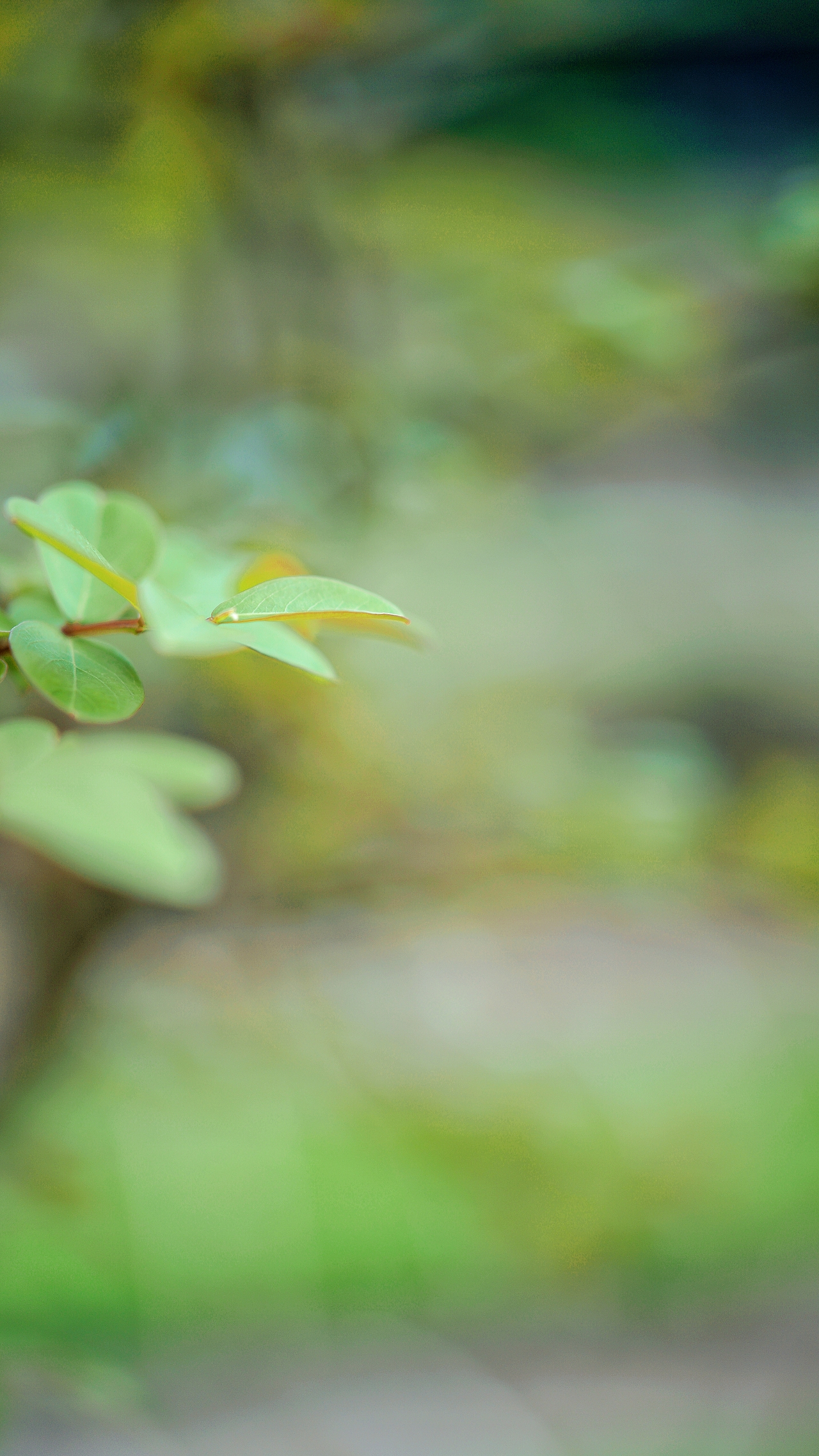 春风里 ~随处都是生机