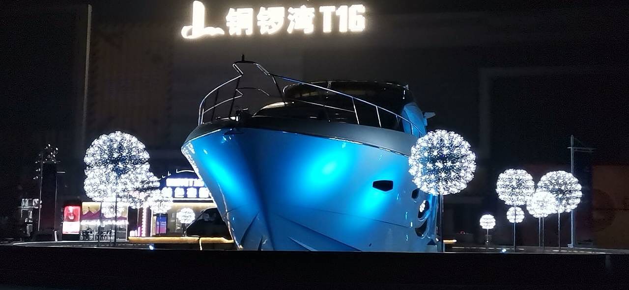 铭星灯饰工厂 专业户外水池蒲公英景观灯厂家