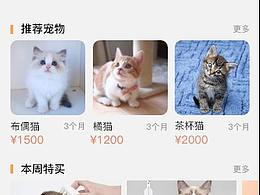 橘子猫舍
