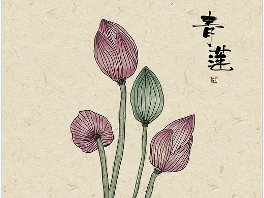 新中式荷花莲蓬插画
