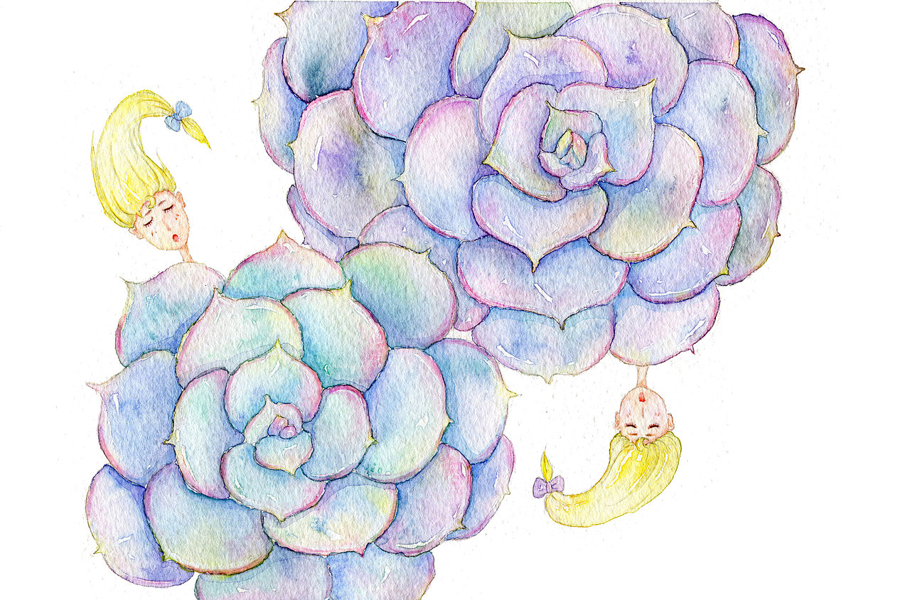 萌萌的多肉植物精灵图系列